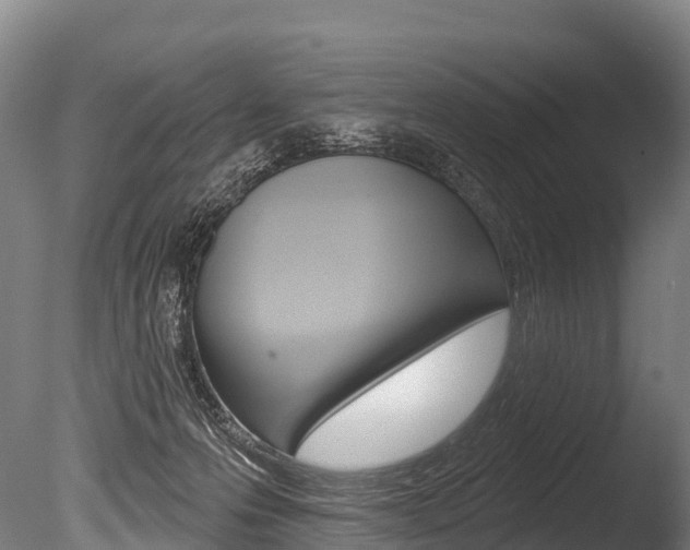 X0000086070223200703231022