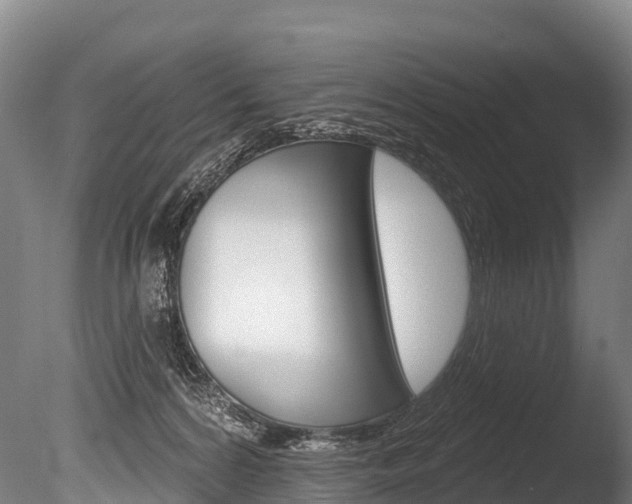 X0000086070224200703231022