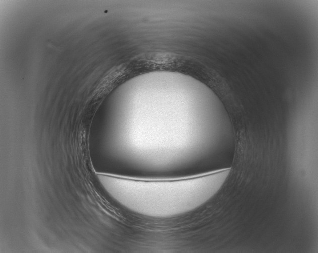 X0000086070225200703231022