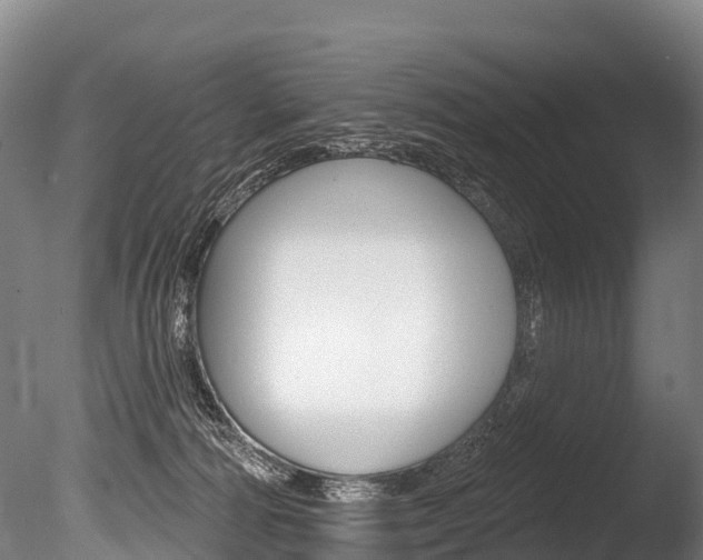 X0000086070226200703231022