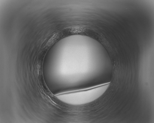 X0000086070227200703231022