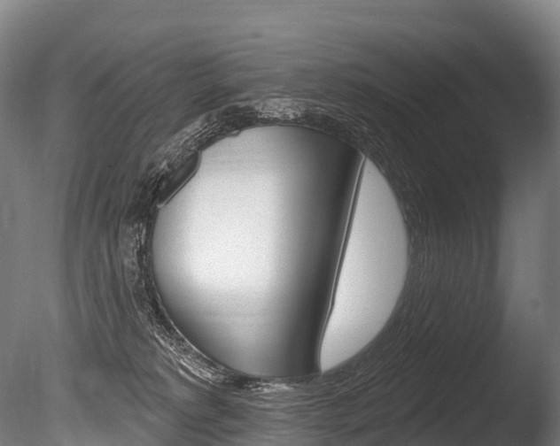 X0000086070229200703231022