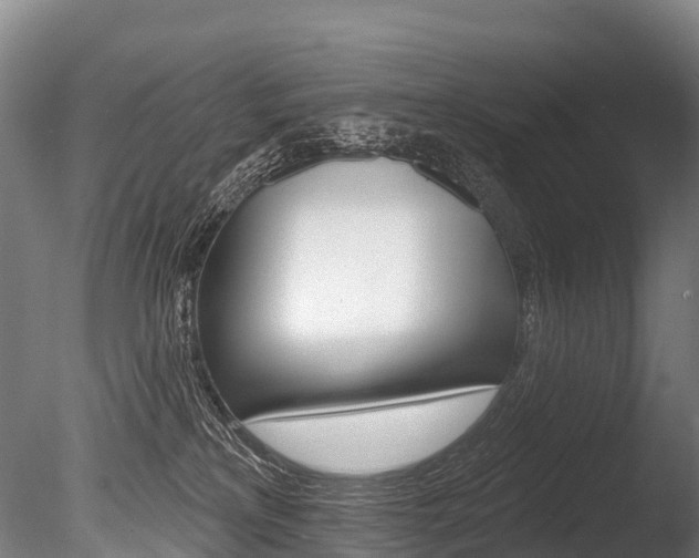 X0000086070233200703231022