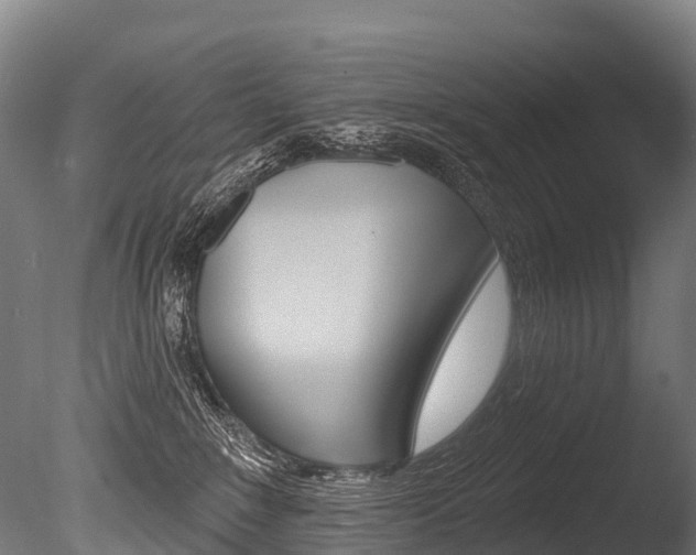 X0000086070235200703231022