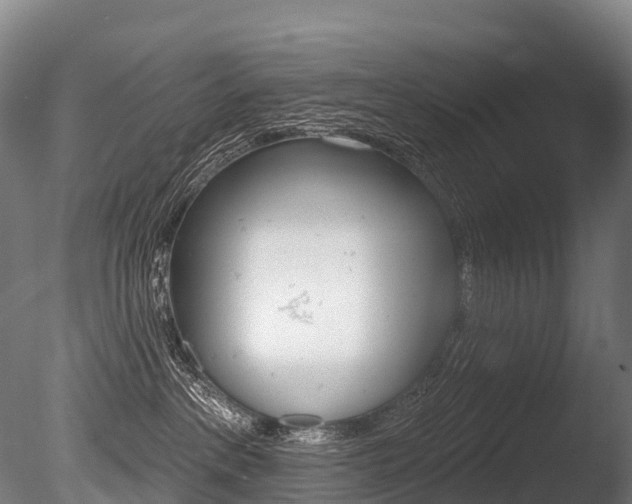 X0000086070237200703231022