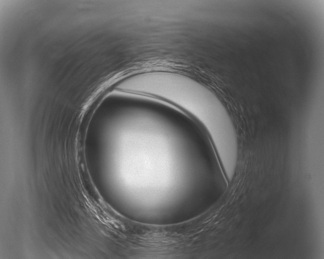 X0000086070244200703231021