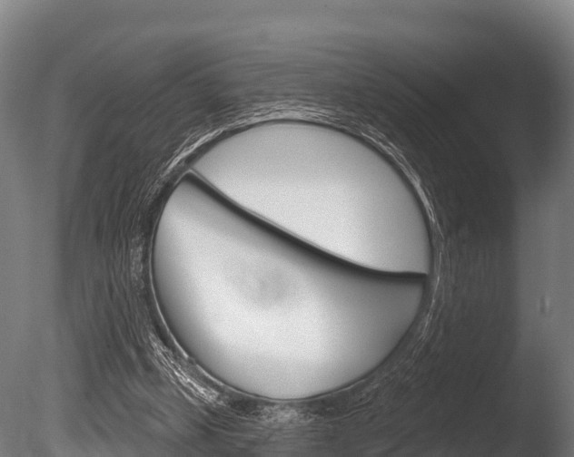 X0000086070249200703231021