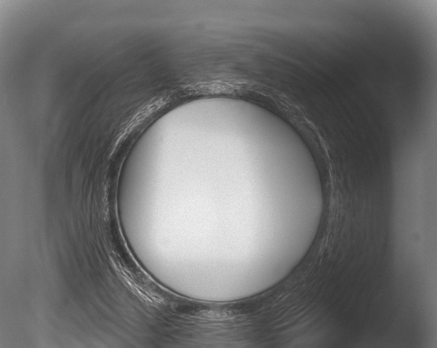 X0000086070250200703231021