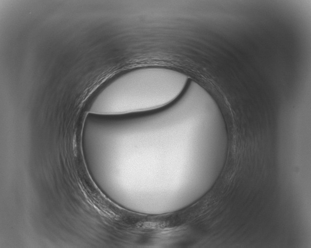 X0000086070251200703231021