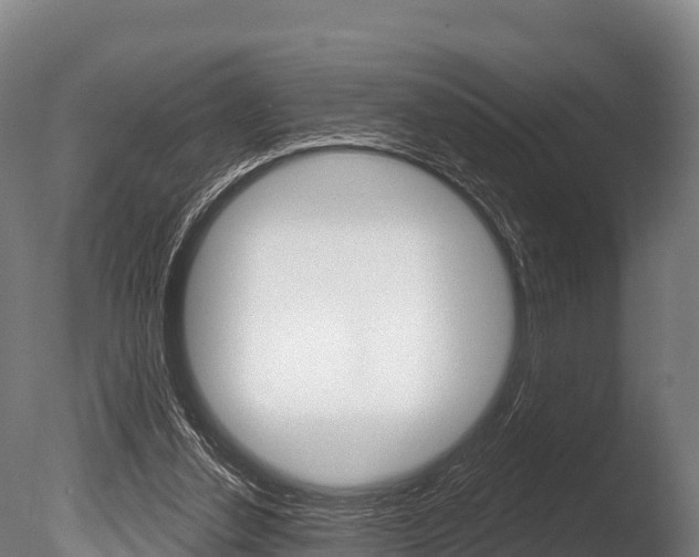 X0000086070252200703231021