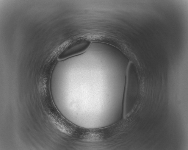 X0000086070260200703231021