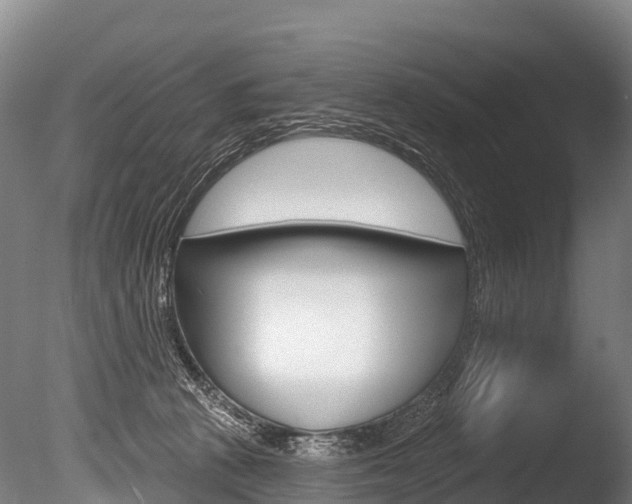 X0000086070273200703231021