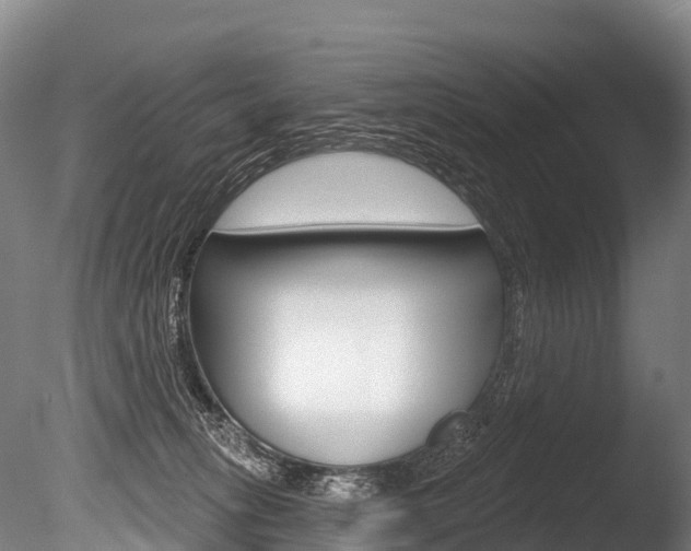 X0000086070275200703231021