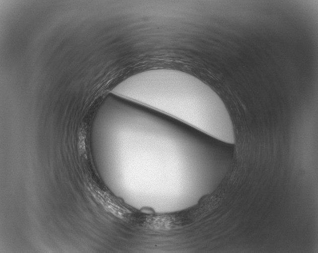 X0000086070282200703231021