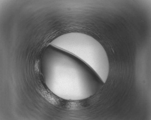 X0000086070286200703231022
