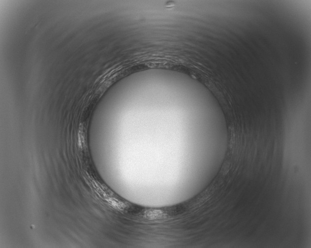 X0000086070287200703231022