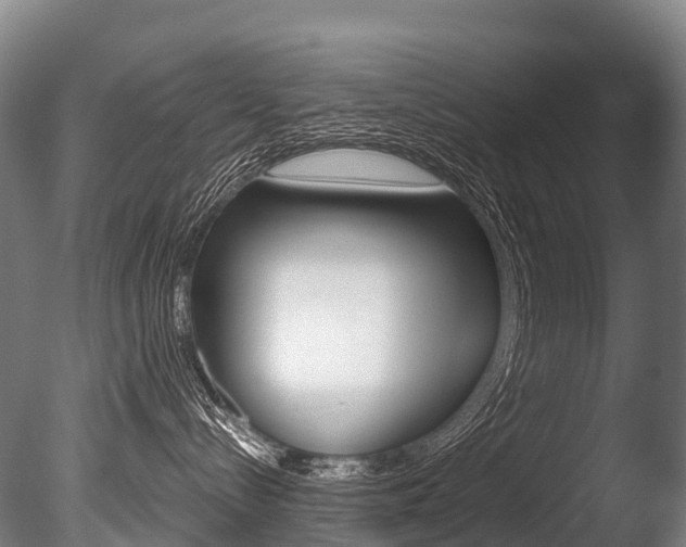 X0000086070288200703231022