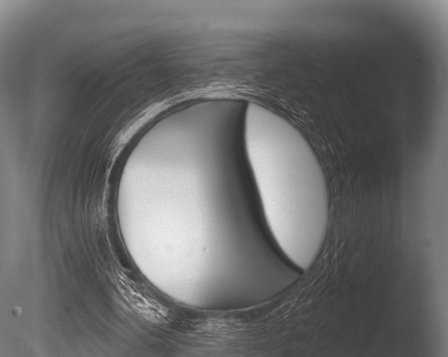 X0000086070292200703231021