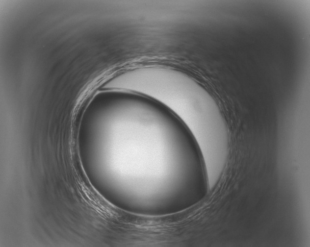 X0000086070293200703231021