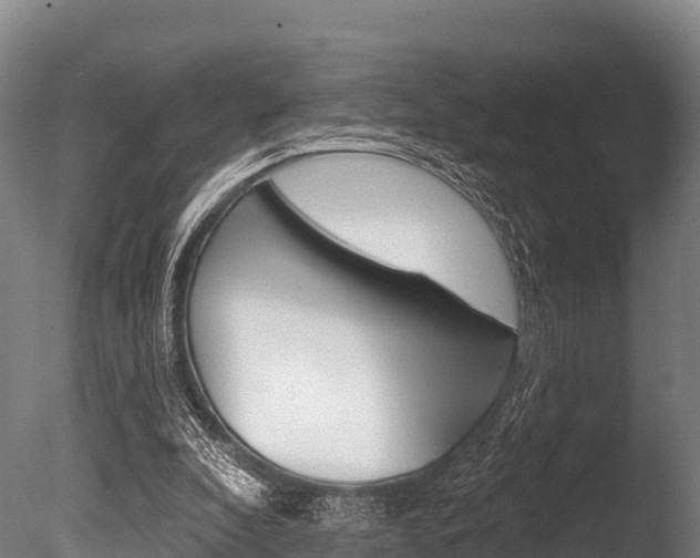 X0000086070296200703231021