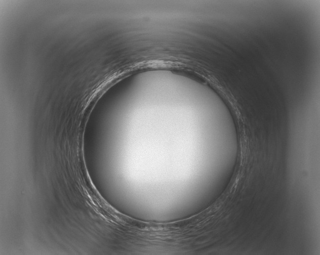 X0000086070297200703231021