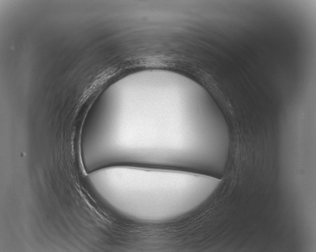 X0000086070299200703231021