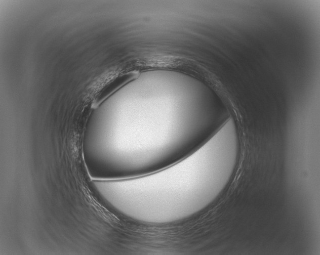 X0000086070305200703231020