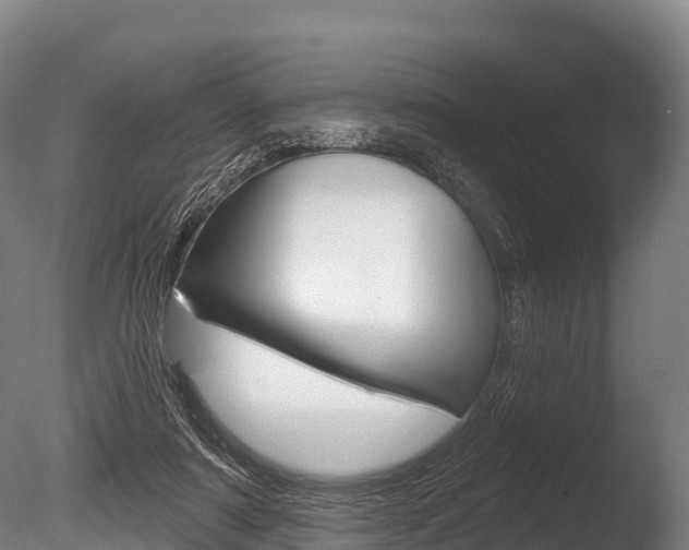 X0000086070307200703231020