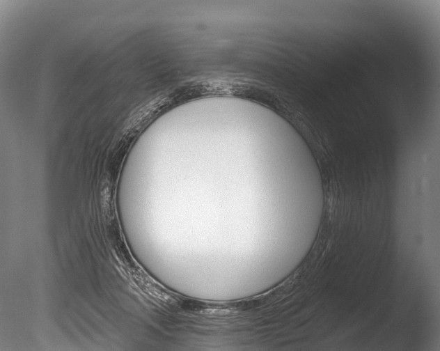 X0000086070314200703231020