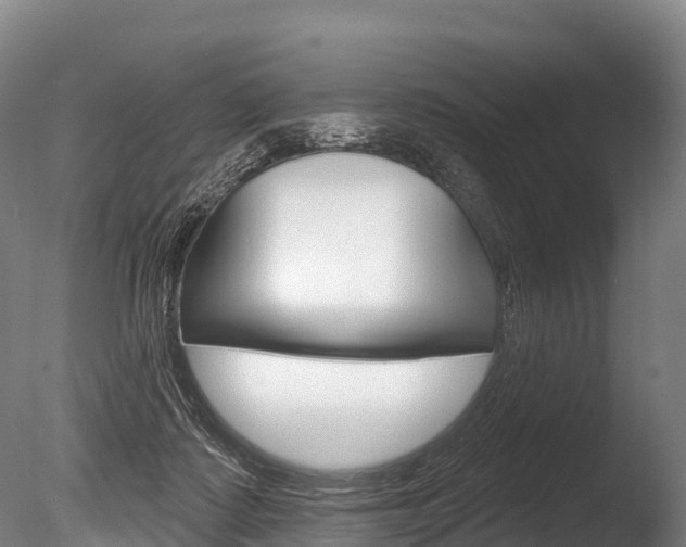 X0000086070315200703231020
