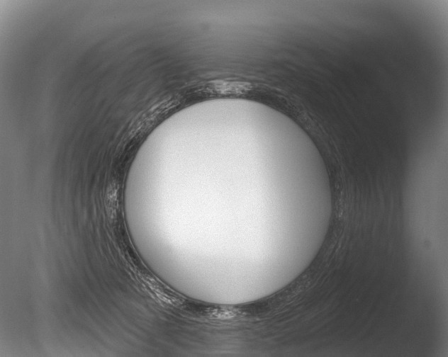 X0000086070321200703231020