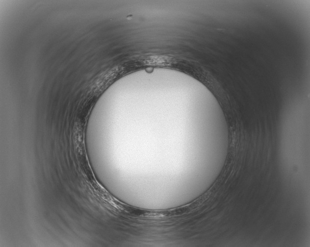 X0000086070322200703231020