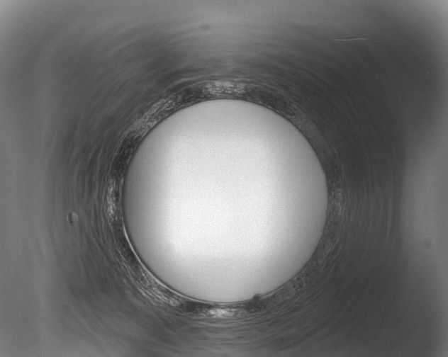 X0000086070323200703231020