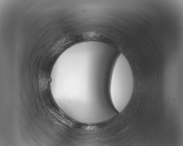 X0000086070324200703231020