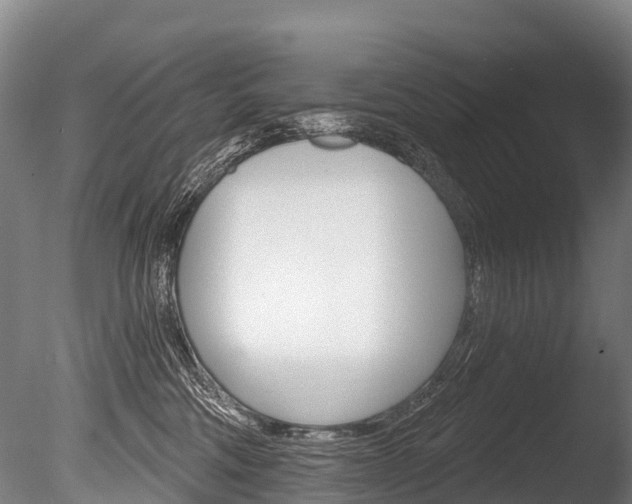 X0000086070330200703231020
