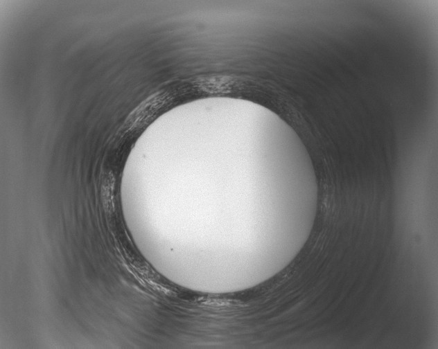 X0000086070332200703231020