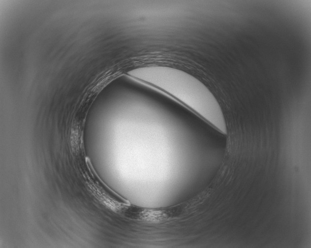 X0000086070333200703231020