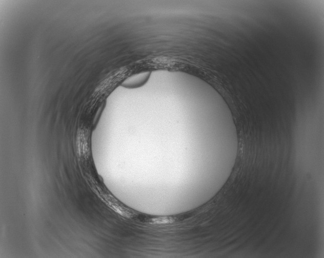 X0000086070335200703231020