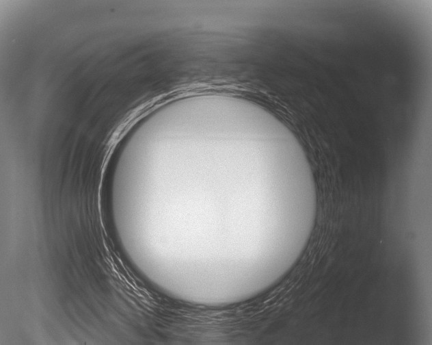 X0000086070340200703231019