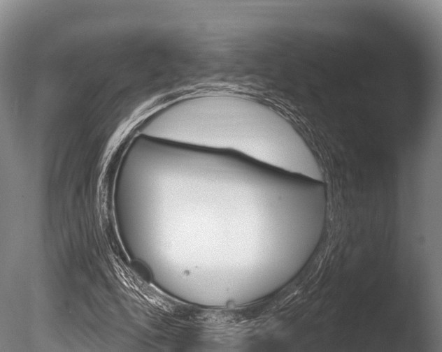 X0000086070343200703231019