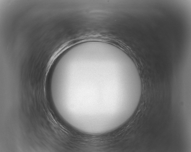 X0000086070344200703231019