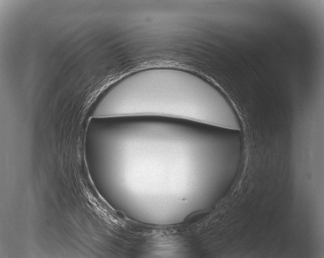 X0000086070345200703231019