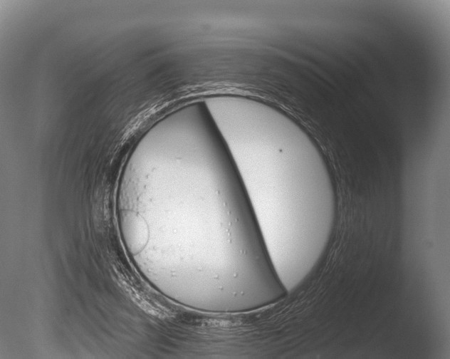 X0000086070347200703231019