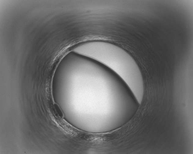 X0000086070352200703231019