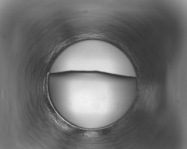 X0000086070357200703231019