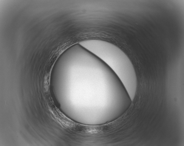 X0000086070360200703231020