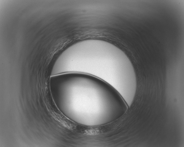 X0000086070362200703231020