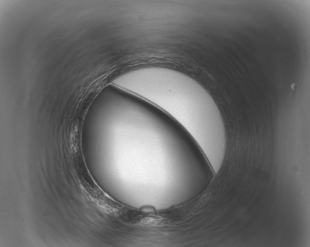 X0000086070364200703231020