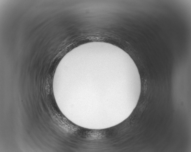 X0000086070370200703231020
