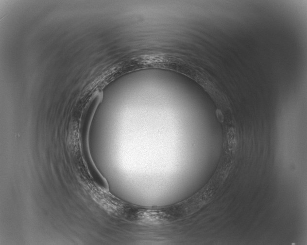 X0000086070372200703231020